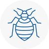 Bed Bug Extermination In Bexleyheath